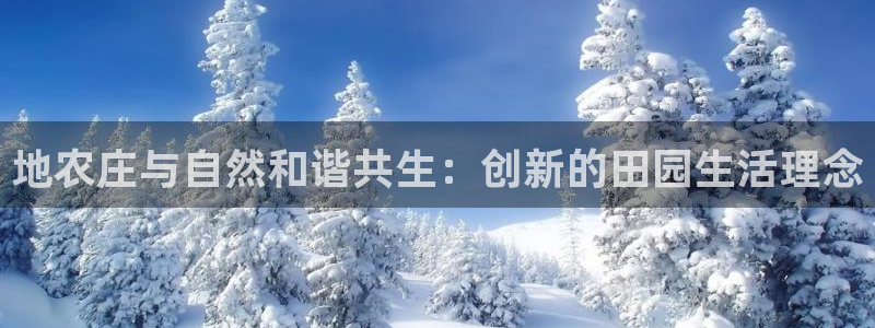 可以玩pg的电子软件