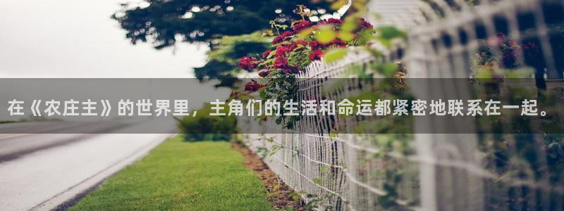 pg电子直播号