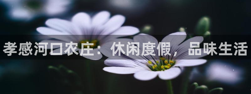 pg电子游戏哪里玩