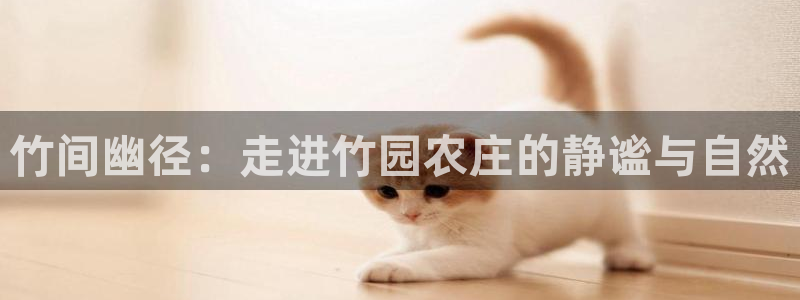 pg电子爆分时间段
