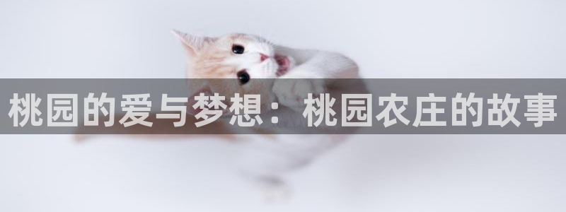 pg电子入口