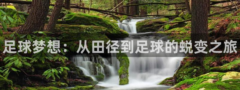 pg电子游戏下载开元