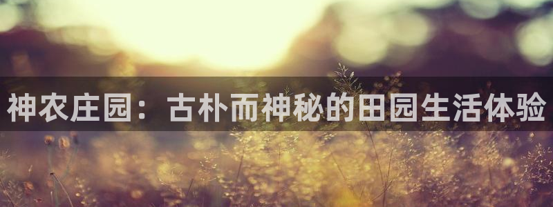 正规pg电子游戏