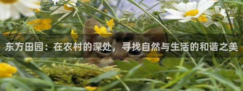 pg电子唐伯虎