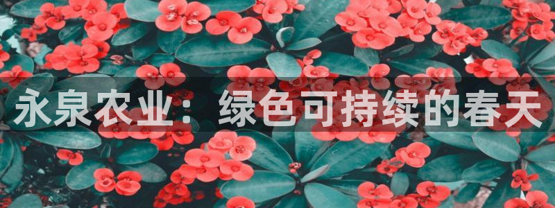 PG电子平台网址