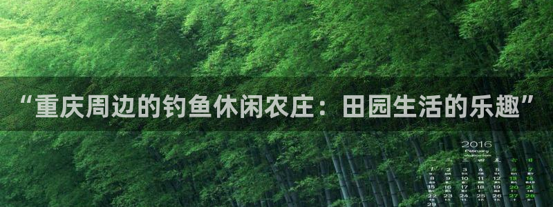 pg电子试玩进入