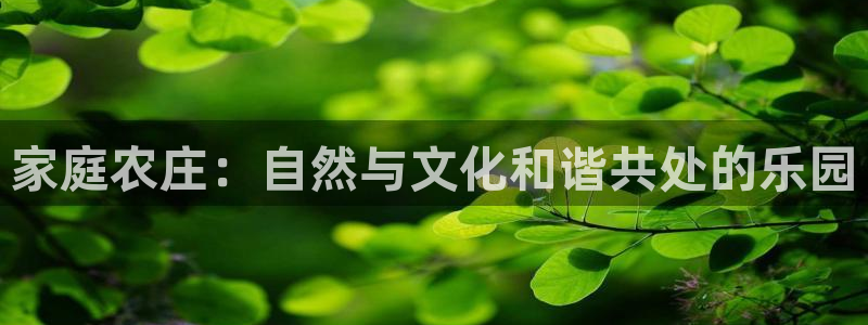 pg电子最新爆分视频