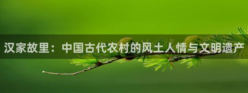 俄罗斯电子pg