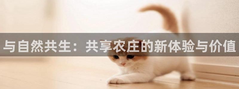 手机pg电子试玩版