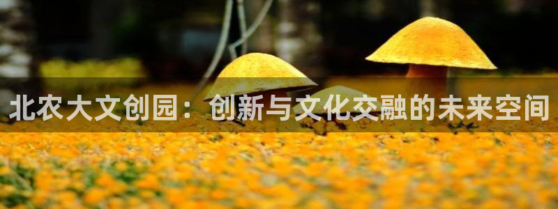 PG电子到底公不公正