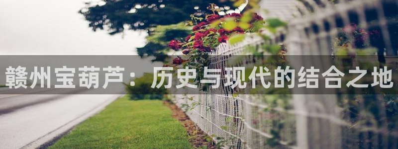 电子游戏PG亡灵大盗