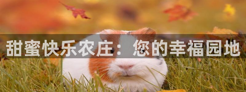 pg电子免费体验网址