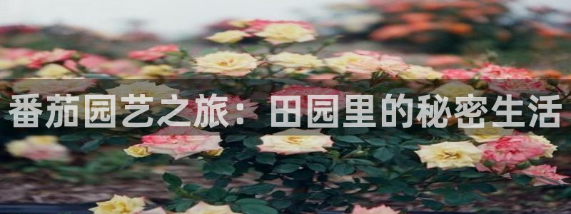 pg电子违法吗
