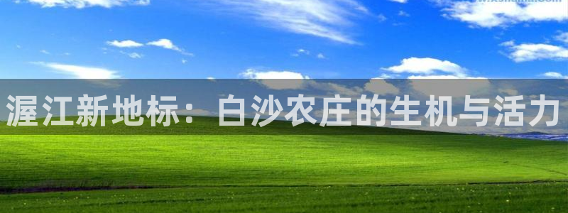 pg电子玩什么