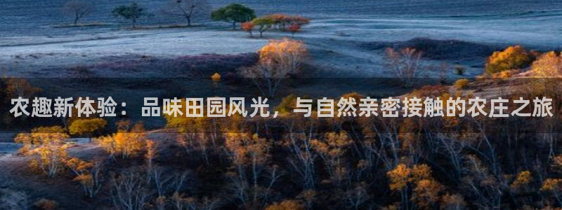 夜醉佳人电子pg