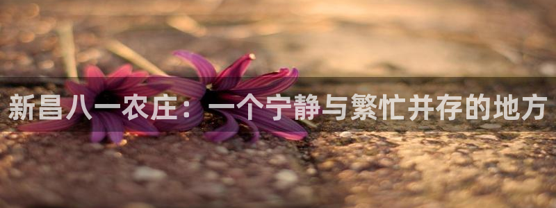 pg电子返奖率多少