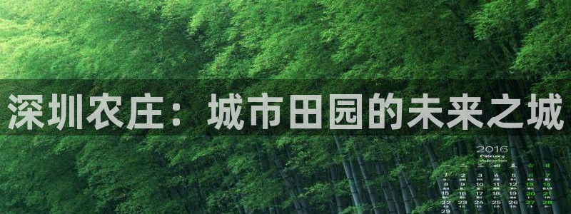 PG电子手机版下载