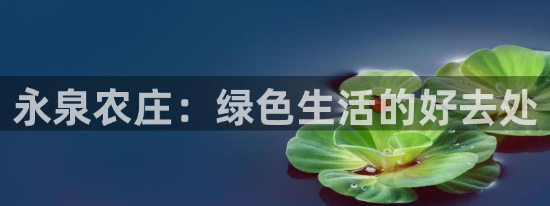 少林足球pg电子