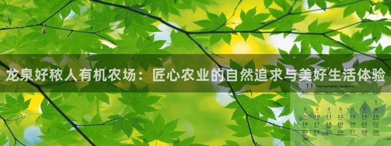 pg电子哪个游戏容易出高分