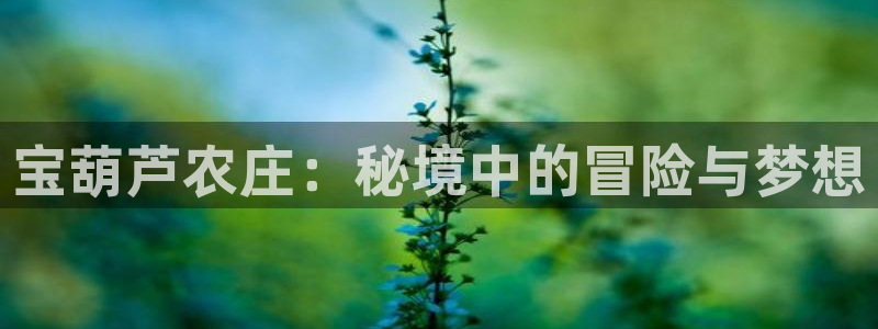 pg麻将胡了电子游戏