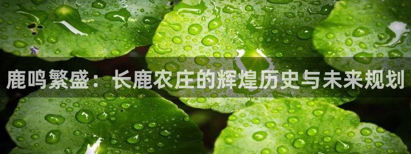 pg电子冰雪大冲关视频