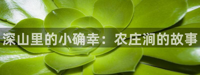 PG电子怎么玩赢钱