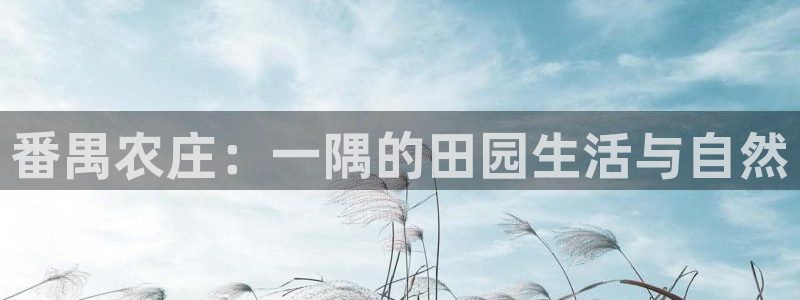 pg电子麻将试玩链接