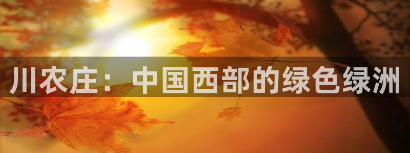 pg电子维护后会放水吗
