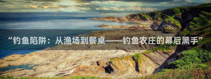 电子游戏PG爆分时间