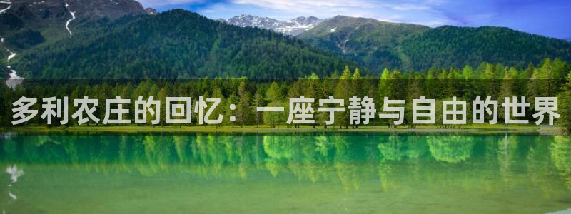 pg电子辅助软件下载