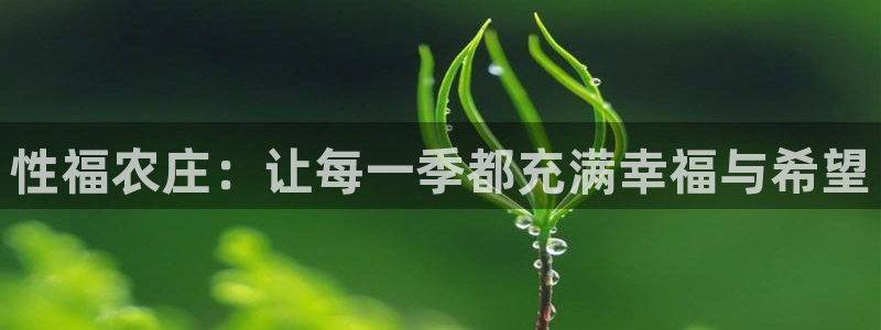 pg电子千赢国际