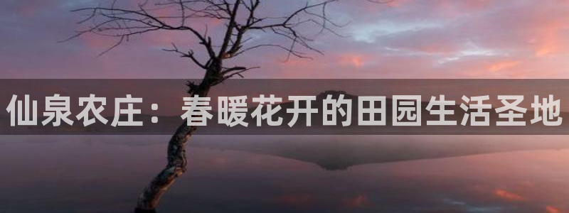 pg电子游戏可以按吗