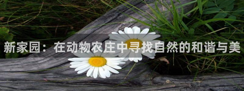 pg电子平台网站大全