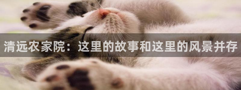 最大pg电子游戏官网