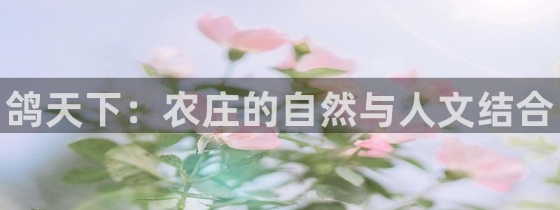 PG电子最后有赢钱的吗