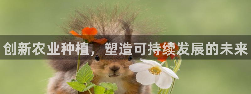 pg电子体验模式