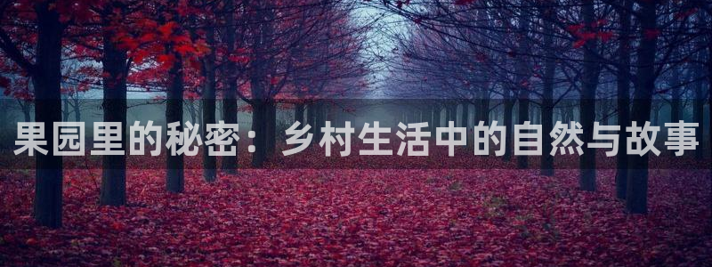 pg电子游戏哪个爆分