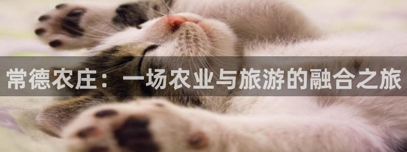 pg电子在线注册