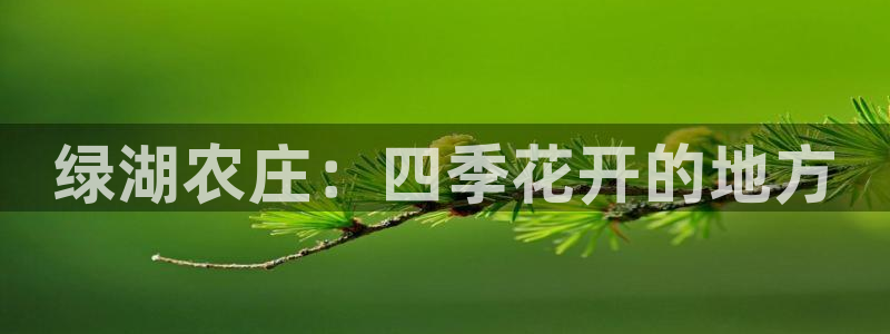 pg电子游戏到底公正吗