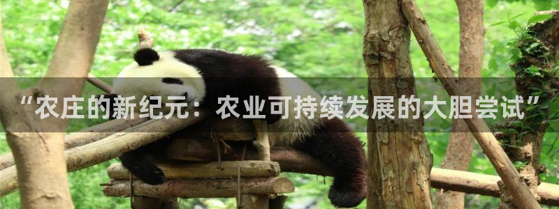 pg福运象财神电子游戏