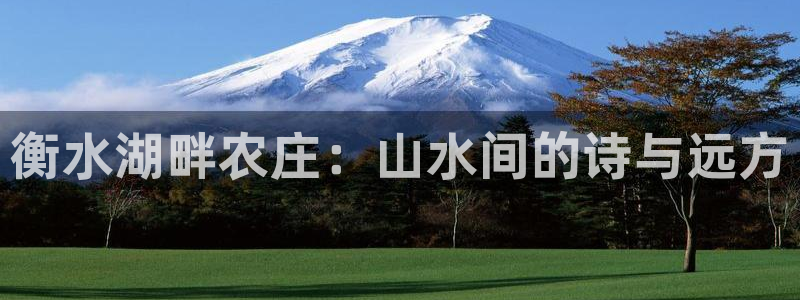 pg电子2000试玩金