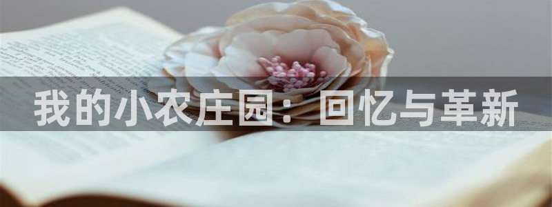 pg电子游戏哪里玩好爆