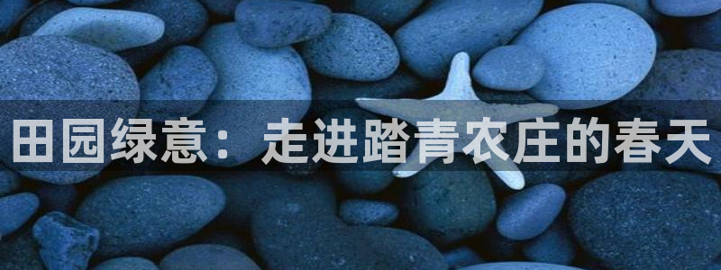 pg电子是真恶心