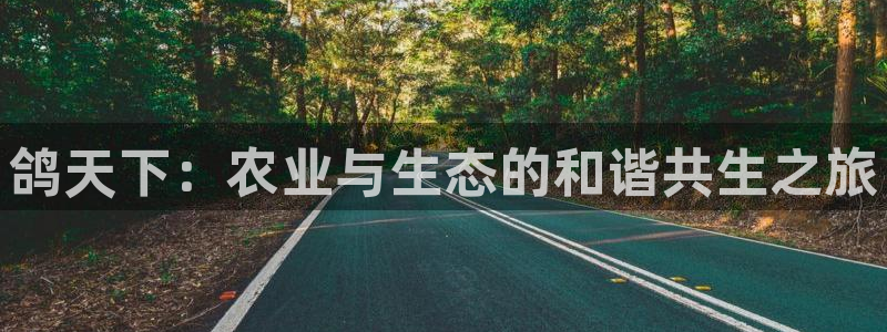 pg电子游戏贴吧