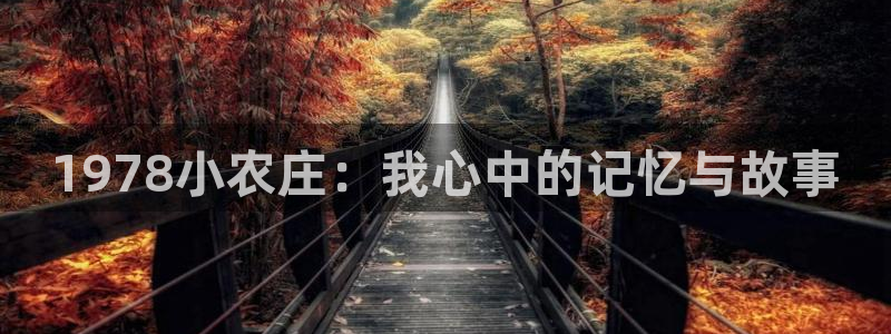 pg电子寻宝黄金城