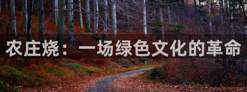 PG电子官网欣ly79