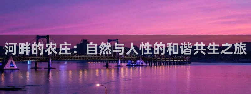 pg电子是谁开发的