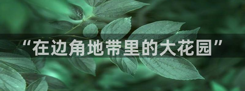 最火pg电子官方