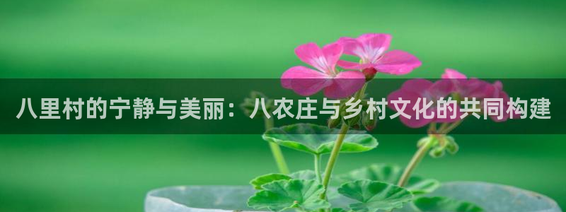 电子pg试玩官网