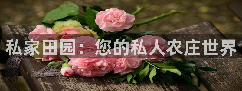 pg电子双喜临门大奖